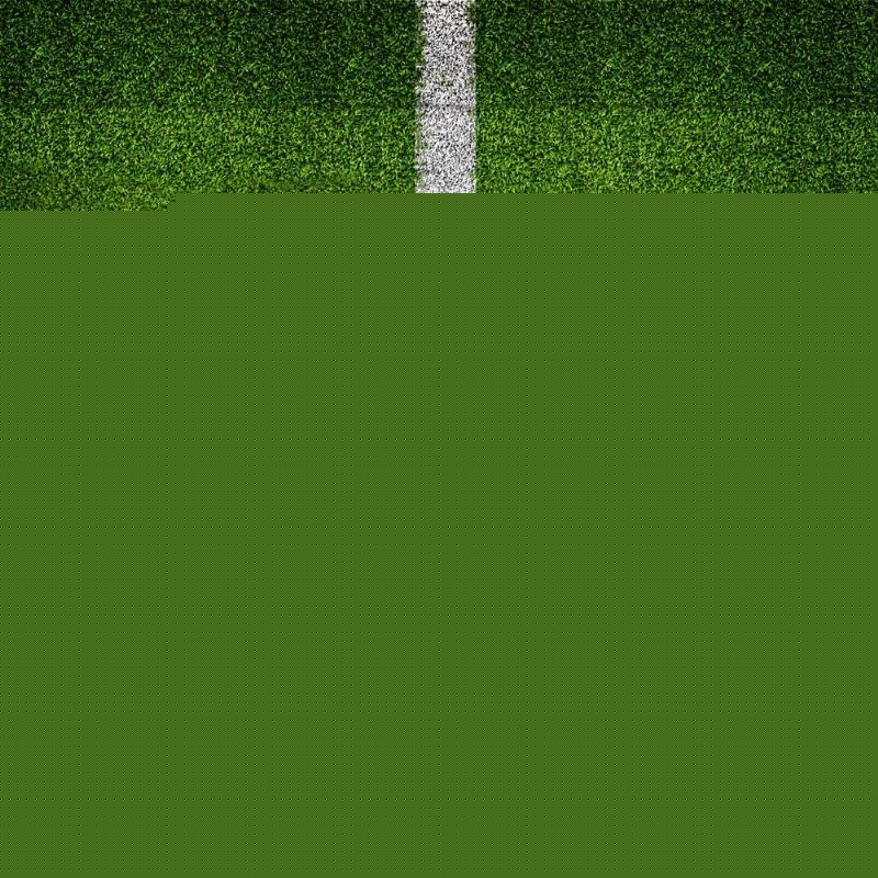 秒长拳动作
