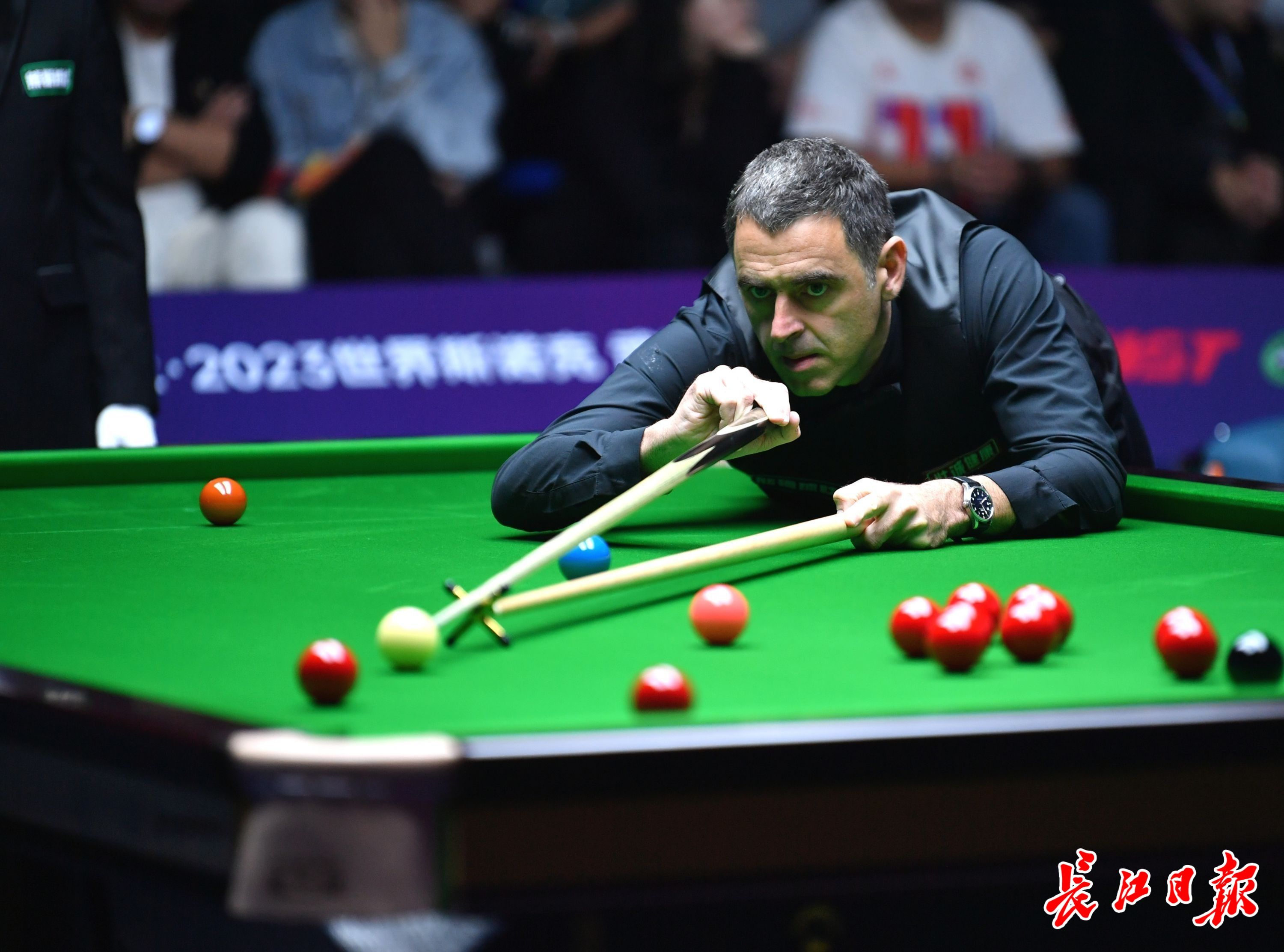 取得了良好 取得了良好