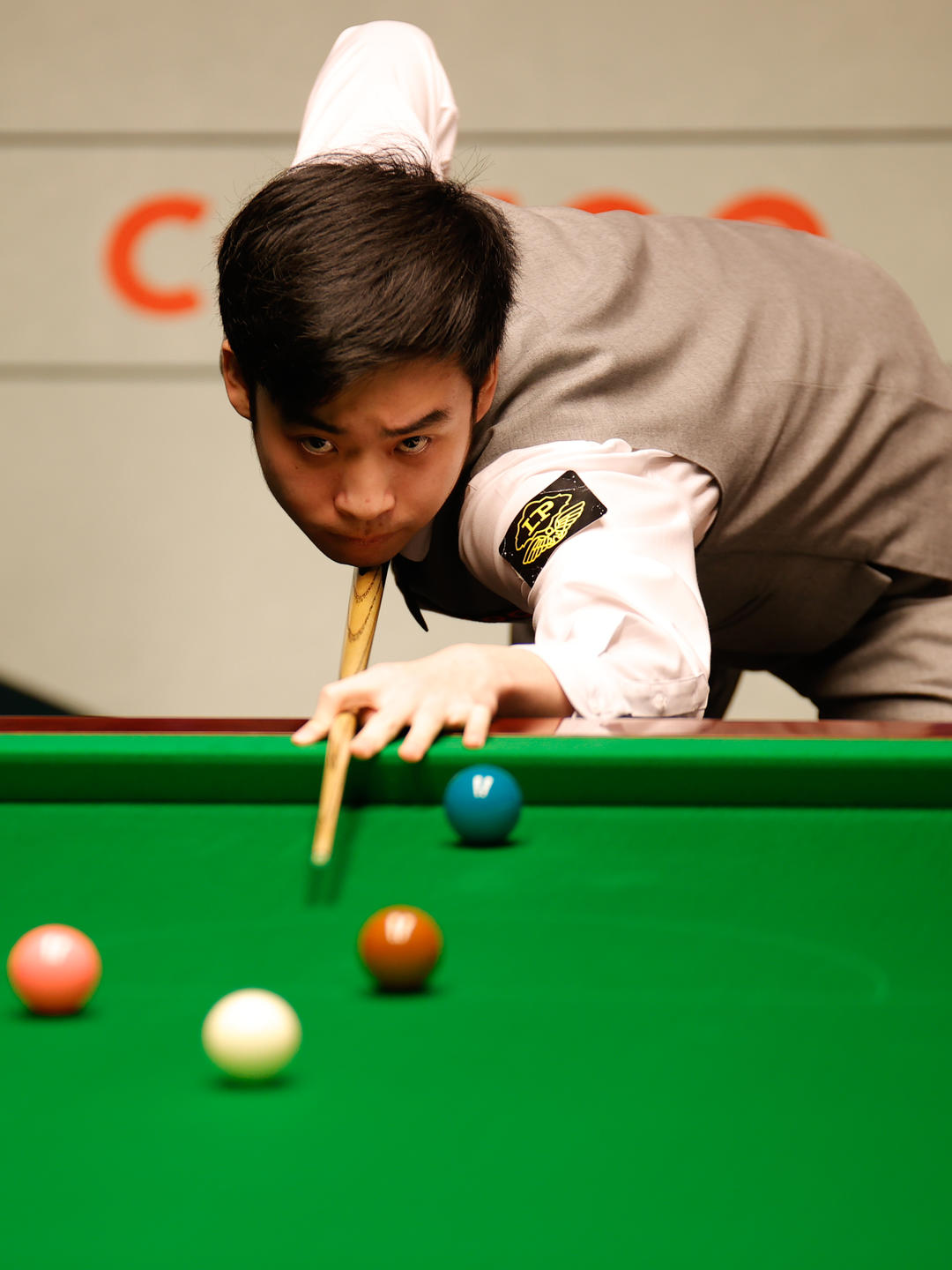 这些课程不 这些课程不